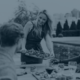 Shaping the future of plant-based food