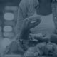 Customer experience to harvest higher customer lifetime value