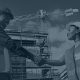 Developing the right service to plug into the Green Deal for construction